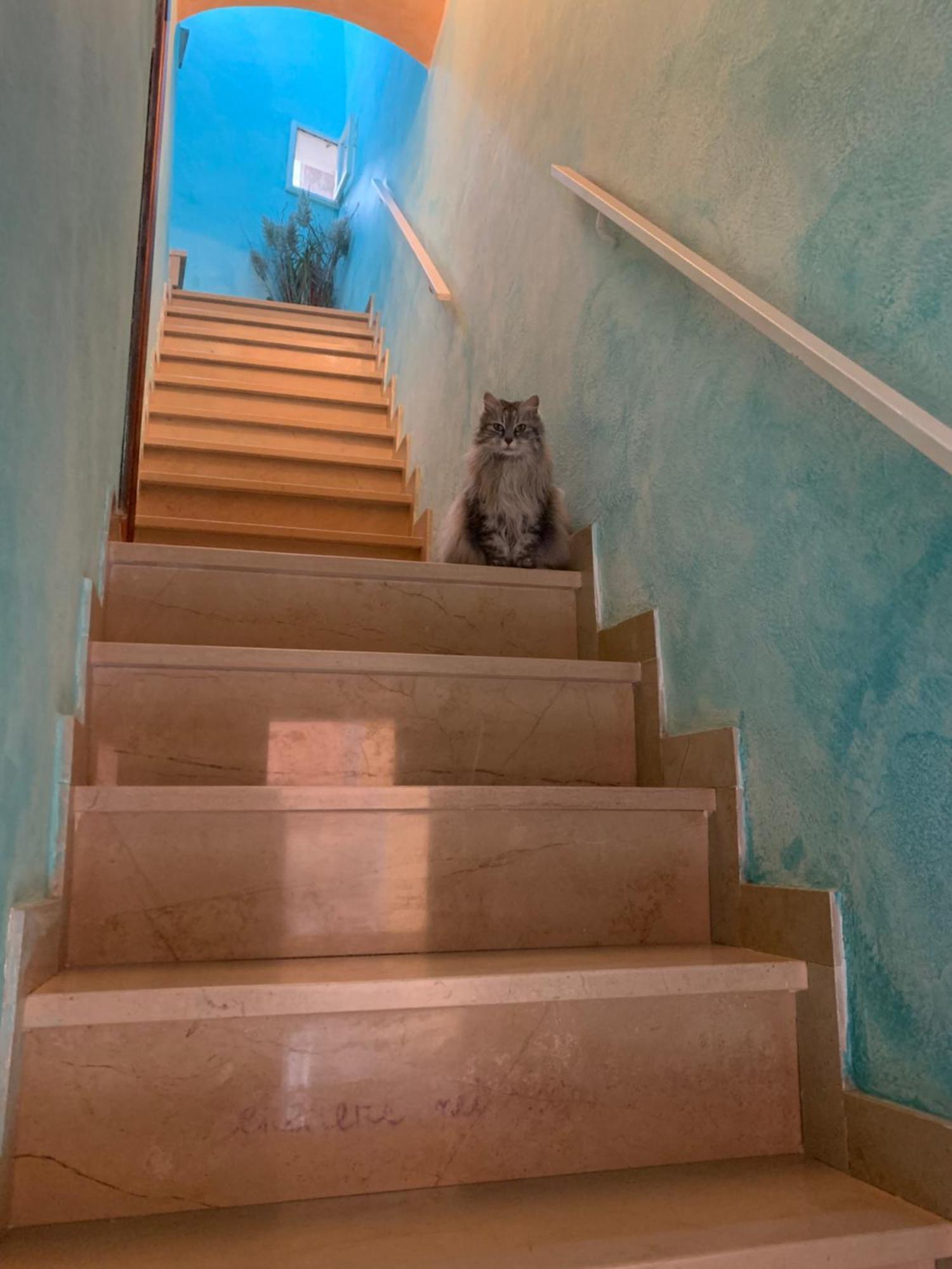 Da Ida Hotel Bosa Luaran gambar